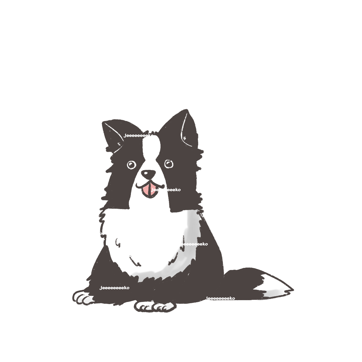 ボーダーコリー